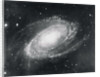 Messier Eighty-One Nebula by Anonymous