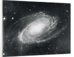 Messier Eighty-One Nebula by Anonymous