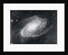 Messier Eighty-One Nebula by Anonymous