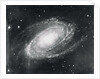 Messier Eighty-One Nebula by Anonymous