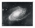 Messier Eighty-One Nebula by Anonymous