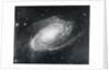 Messier Eighty-One Nebula by Anonymous