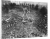 Massive Crowd Attending Rally Under Statue with Peron Inscription by Anonymous