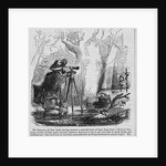 Illustration of Men Surveying Swamp by Anonymous