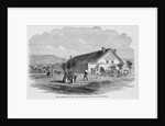 Salt Lake City Tabernacle by Anonymous