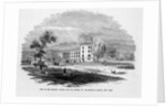 Blackwell Island Lunatic Asylum by Anonymous