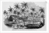 Sugar Plantation by Anonymous
