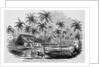 Sugar Plantation by Anonymous