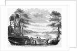 Hudson River from Elysian Fields by Anonymous