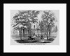 Princeton College by Anonymous