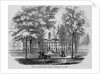 Princeton College by Anonymous