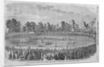 International Cricket Match by Anonymous