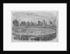 International Cricket Match by Anonymous