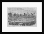 International Cricket Match by Anonymous