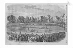 International Cricket Match by Anonymous