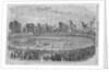 International Cricket Match by Anonymous