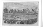 International Cricket Match by Anonymous