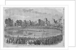 International Cricket Match by Anonymous