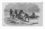 Franklin Expedition Cairn by Anonymous