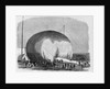Professor Lowe's Balloon by Anonymous