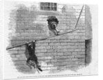Attempted Escape of Cook and Coppic by Anonymous