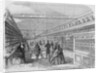 G.G. Evans' Bookstore by Anonymous