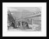 G.G. Evans' Bookstore by Anonymous