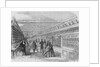 G.G. Evans' Bookstore by Anonymous