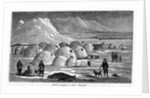 Innuit Igloos, or Snow Village Illustration by Anonymous
