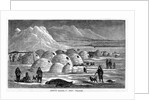 Innuit Igloos, or Snow Village Illustration by Anonymous