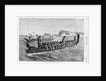 A New Zealand War Canoe Race Illustration by Anonymous