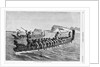 A New Zealand War Canoe Race Illustration by Anonymous