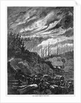 Forest Fire in Wisconsin by Anonymous