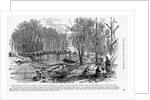 Federal Camp by Anonymous