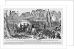 Battle of Pea Ridge by Corbis