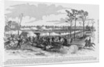 Battle of Shiloh by Anonymous