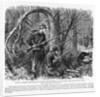 Camouflaged Confederates by Anonymous