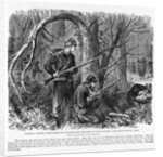 Camouflaged Confederates by Anonymous