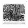 Camouflaged Confederates by Anonymous