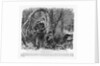 Camouflaged Confederates by Anonymous