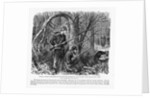 Camouflaged Confederates by Anonymous