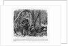 Camouflaged Confederates by Anonymous