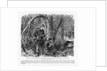 Camouflaged Confederates by Anonymous