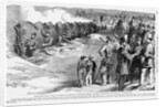 Sharpshooting Practice by Anonymous