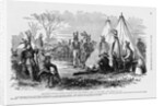 Delaware Indians by Anonymous