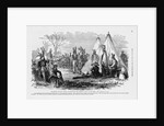 Delaware Indians by Anonymous