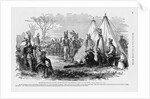 Delaware Indians by Anonymous