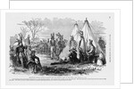 Delaware Indians by Anonymous