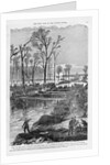 Union Built Canal by Anonymous
