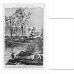 Union Built Canal by Anonymous